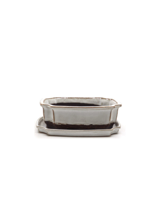 Bonsai pot wit mokko 15cm - set