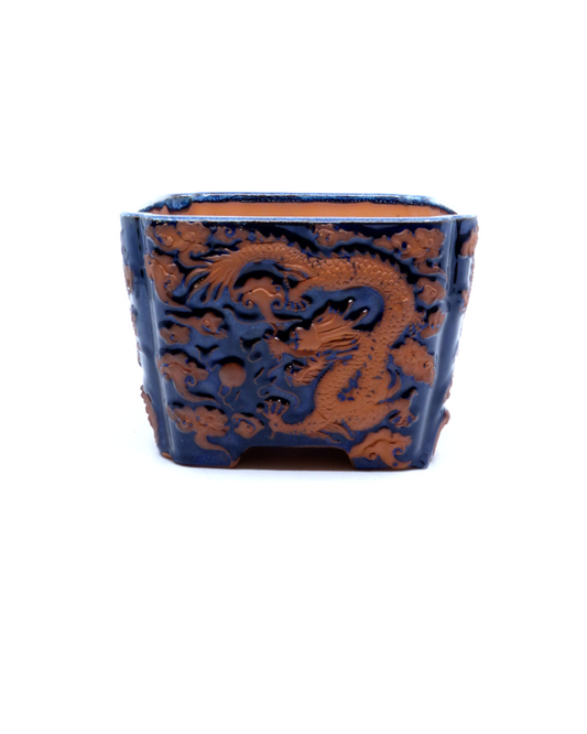 Bonsai pot blauw draak vierkant 21cm