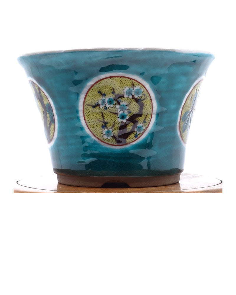 Pot à bonsaï Kutani yaki 'Matsutake Ume' pot vert peint à la main 12cm