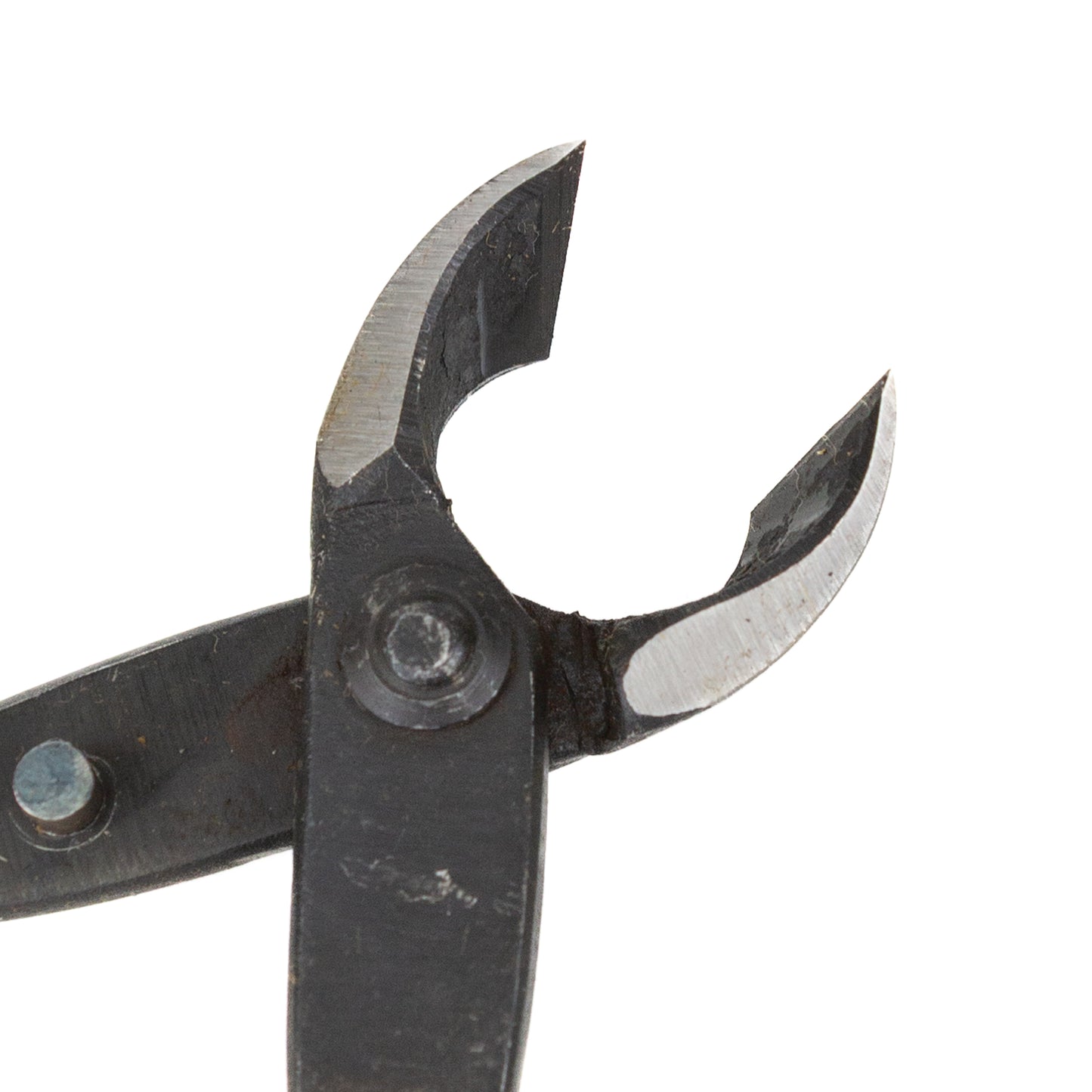 Bonsai Kaneshin pince concave 165 mm