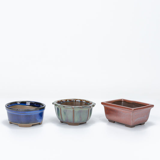 Shohin Bonsai Pot Set 3 ver. 2