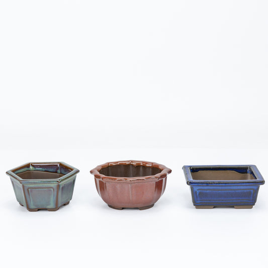 Shohin Bonsai Pot Set 3 ver. 3