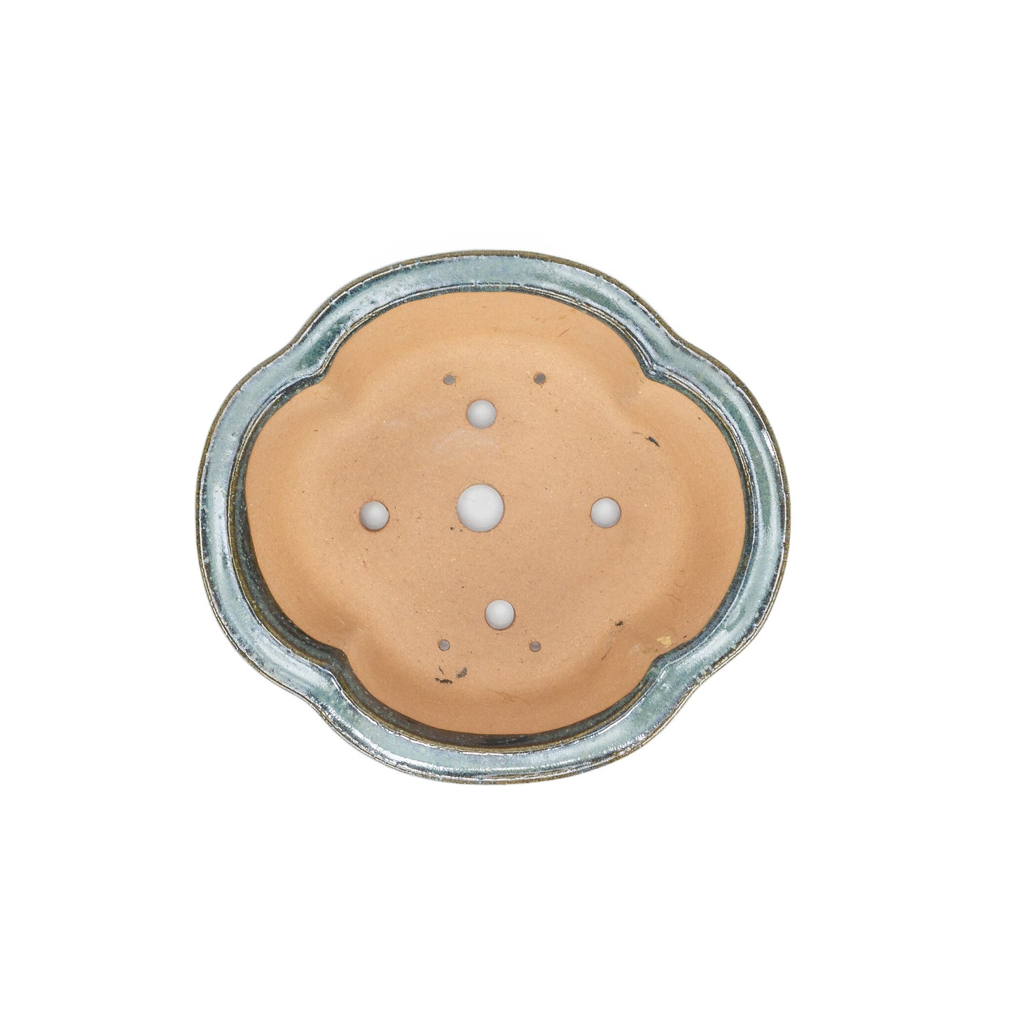 Pot à bonsaï chrysanthèmes bleus 20 cm