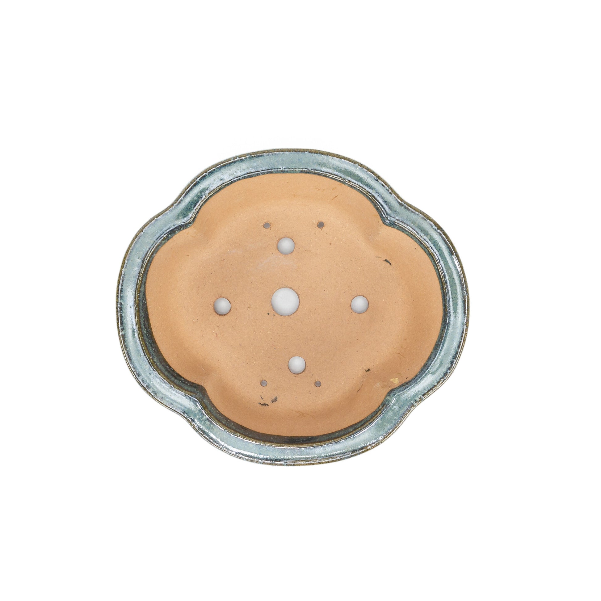 Pot à bonsaï chrysanthèmes bleus 20 cm