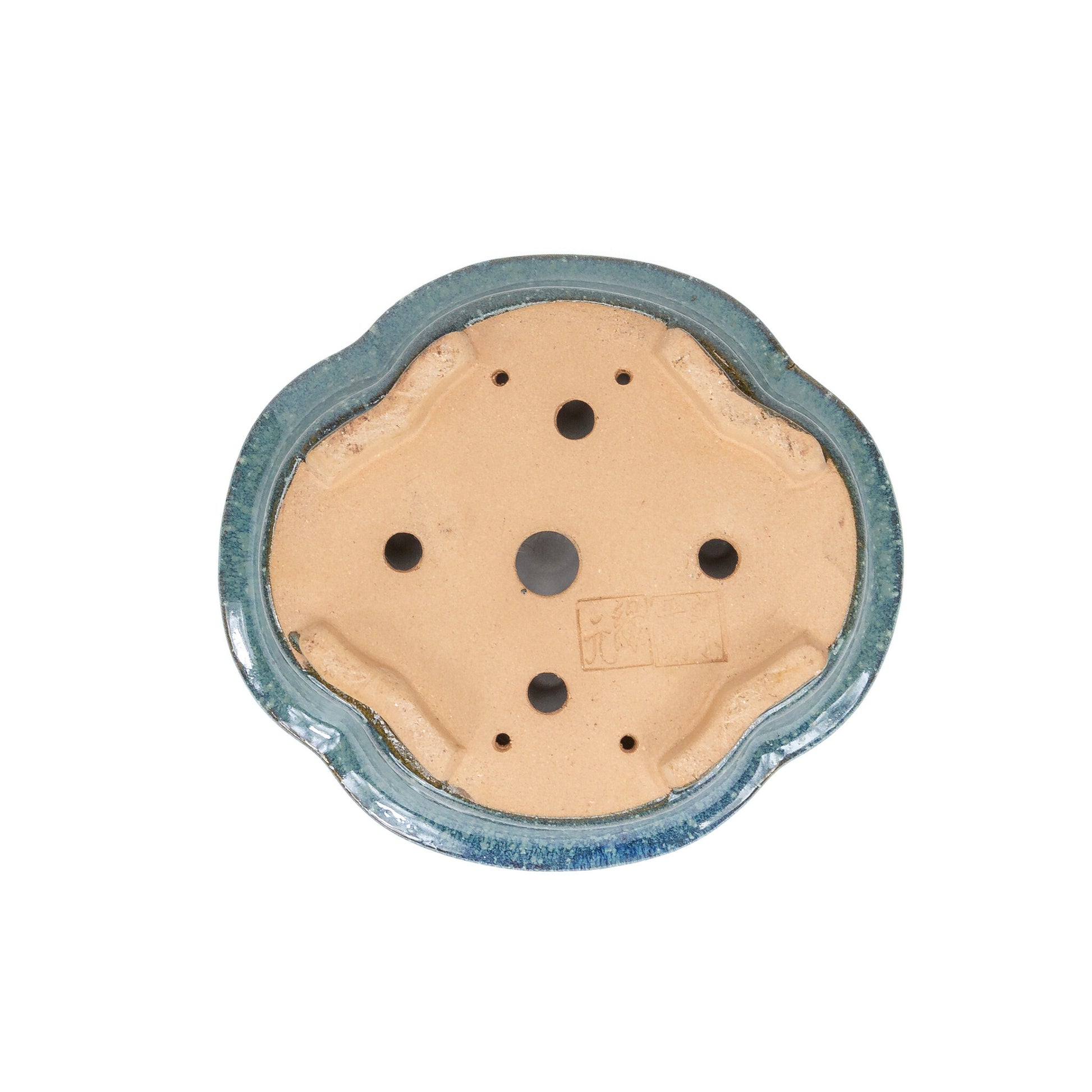 Pot à bonsaï chrysanthèmes bleus 20 cm