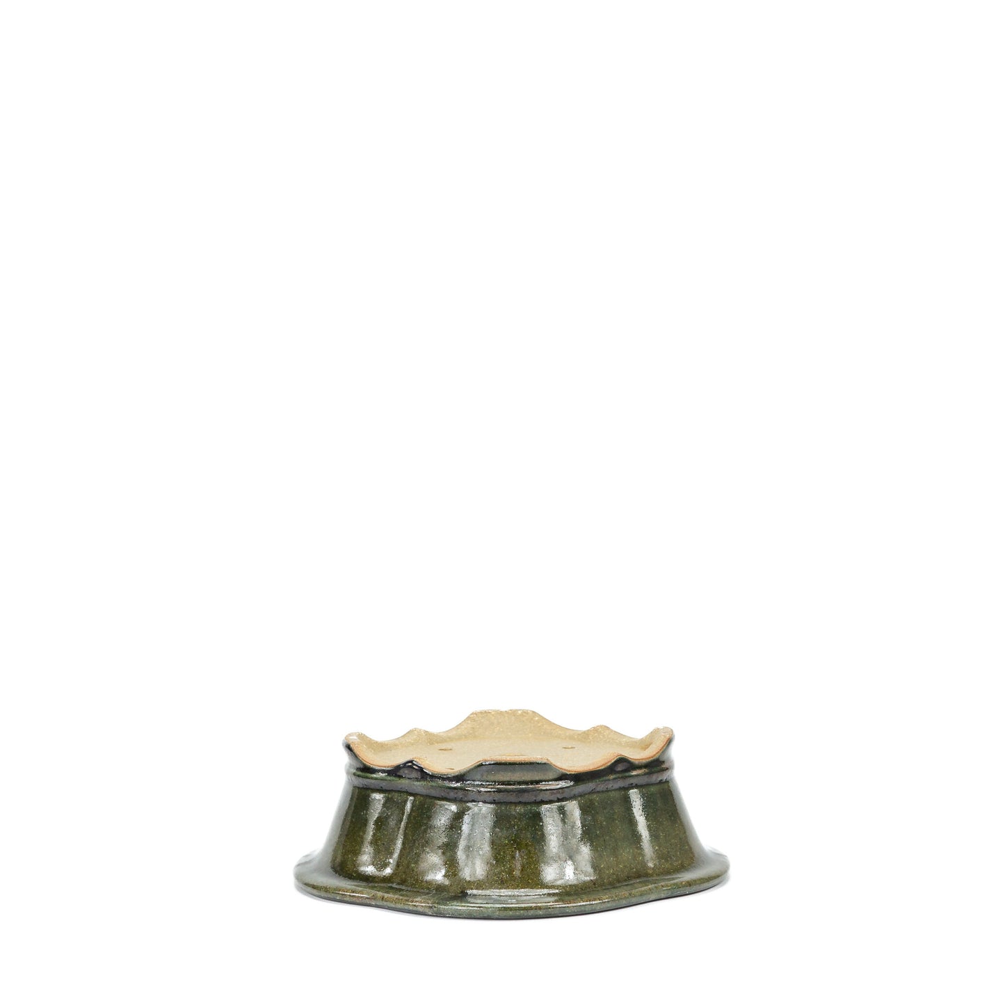 Bonsai pot chrysanten groen zwart 21cm