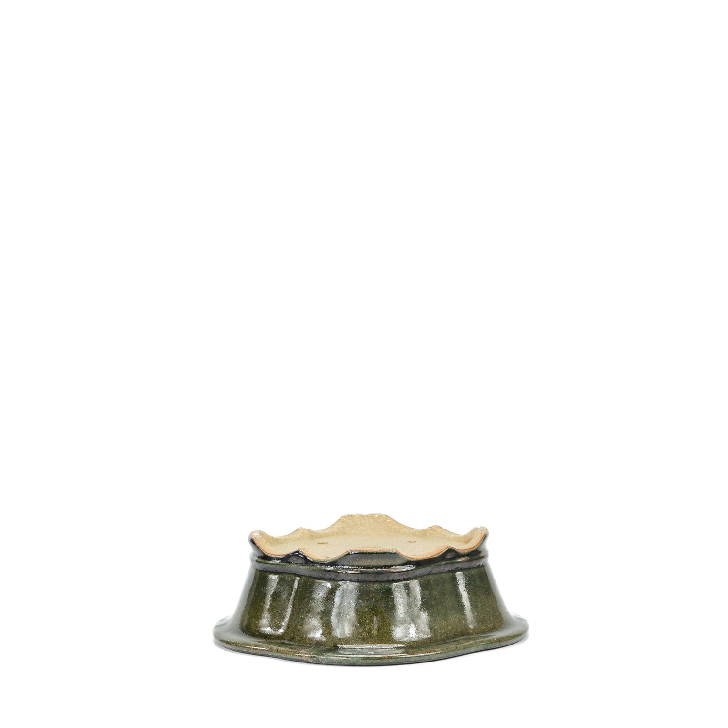 Bonsai pot chrysanten groen zwart 21cm