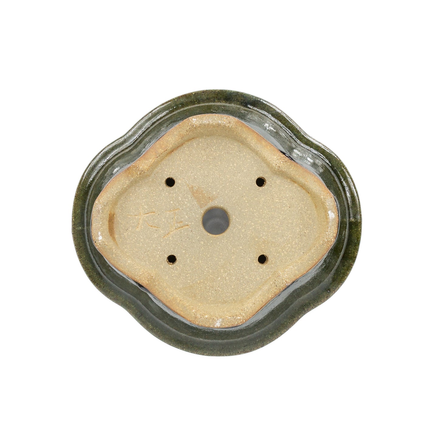 Pot à bonsaï chrysanthèmes vert et noir 21 cm