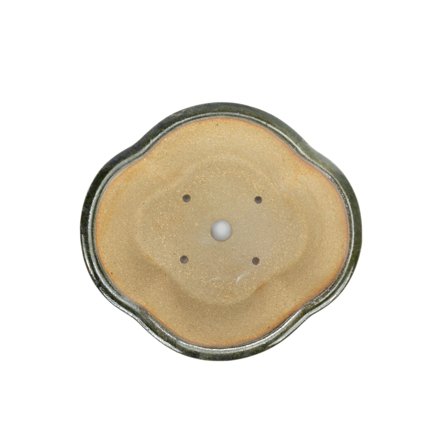 Pot à bonsaï chrysanthèmes vert et noir 21 cm