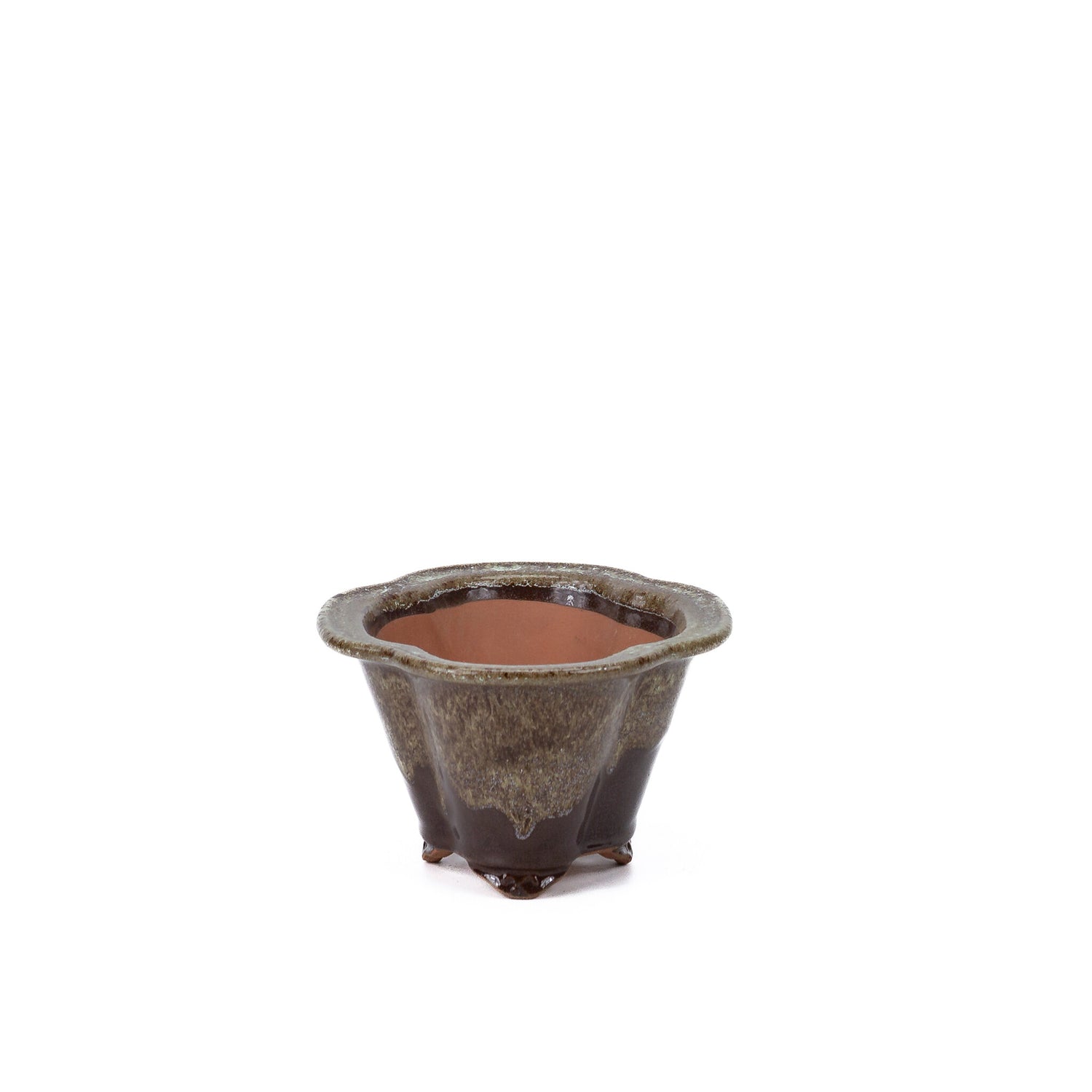 Bonsai pot chrysanten bruin beige 15.5cm