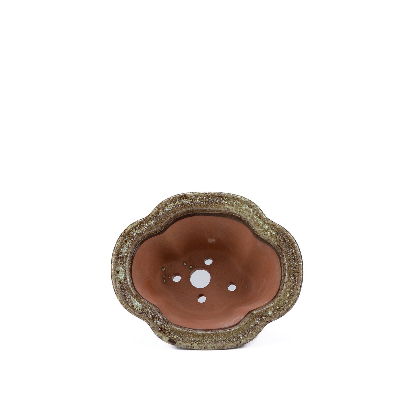 Pot à bonsaï chrysanthèmes brun beige 15,5 cm