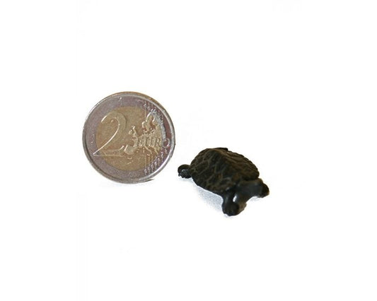 Bonsaï Tenpai / Tortue (bronze)