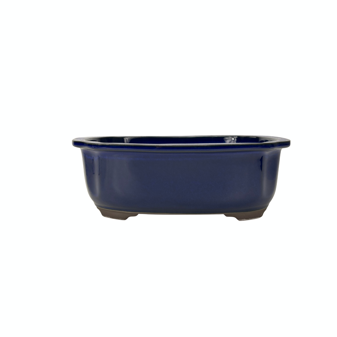 Pot à bonsaï bleu mokko 24 cm