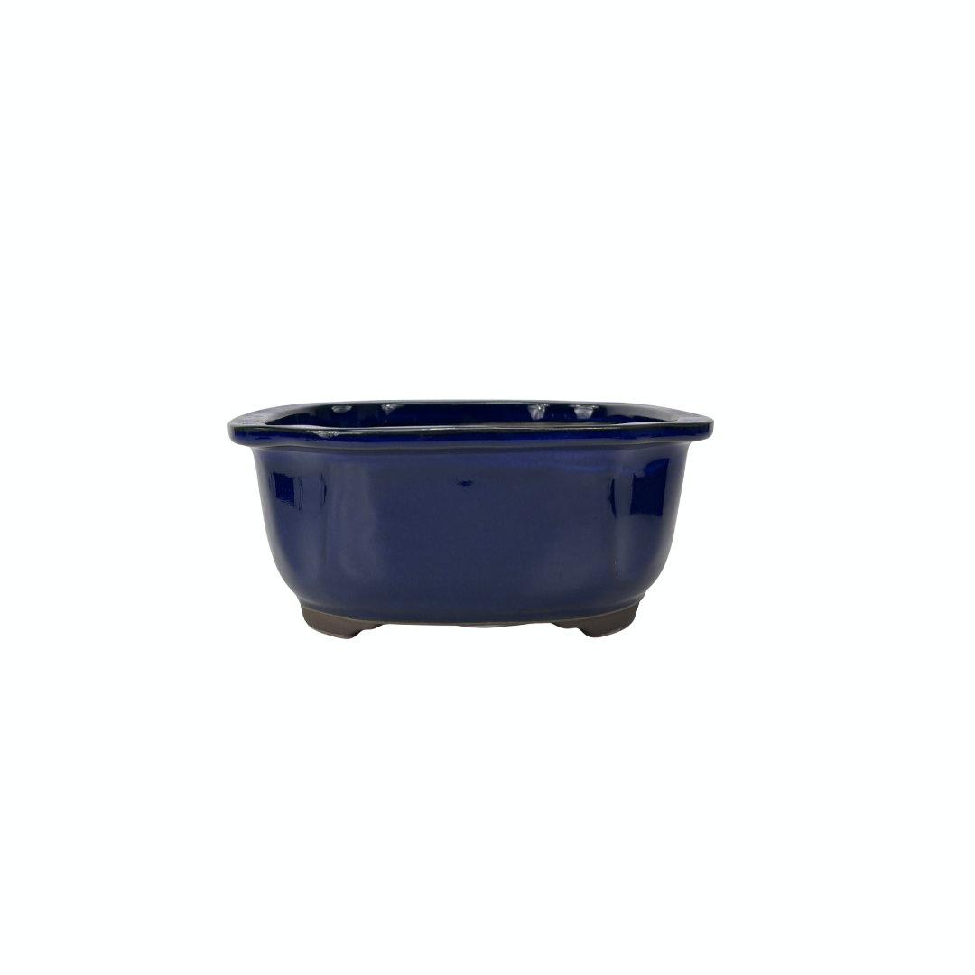 Pot à bonsaï bleu mokko 24 cm