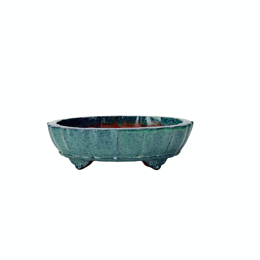 Pot à bonsaï bleu-vert ovale 17 cm