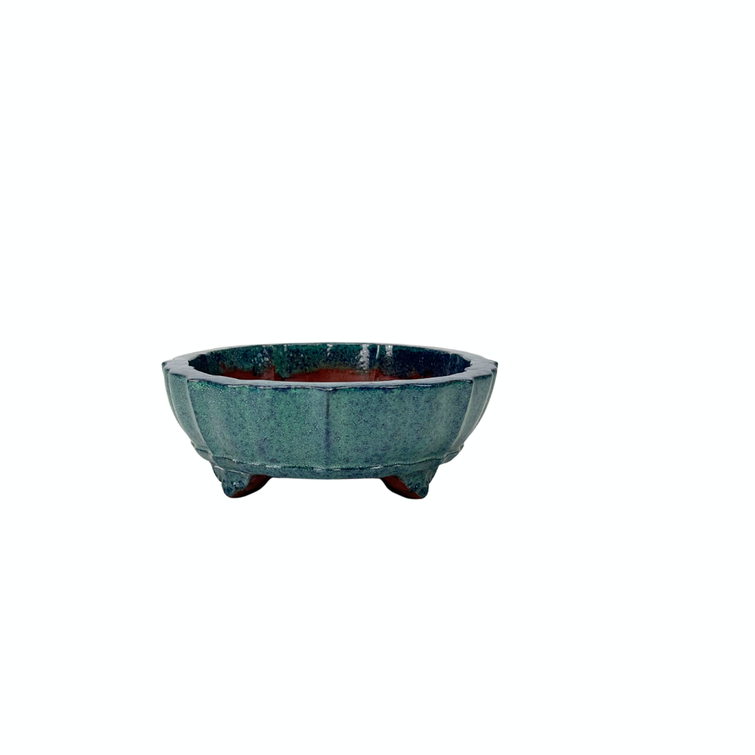 Pot à bonsaï bleu-vert ovale 17 cm