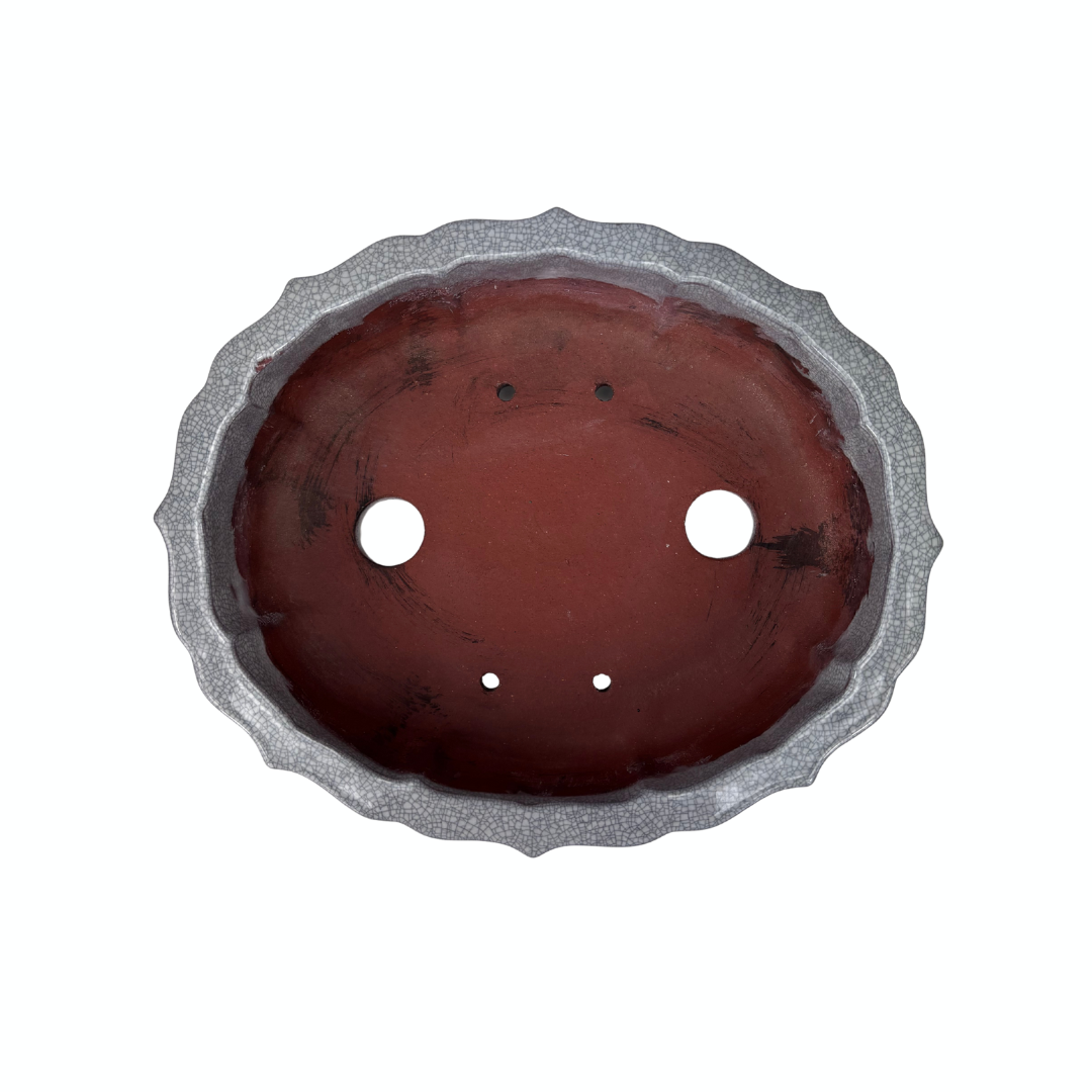 Bonsai pot wit grijs craquelé chrysant 17cm