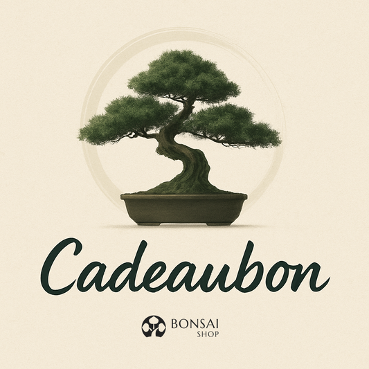 Bon cadeau Bonsai Shop