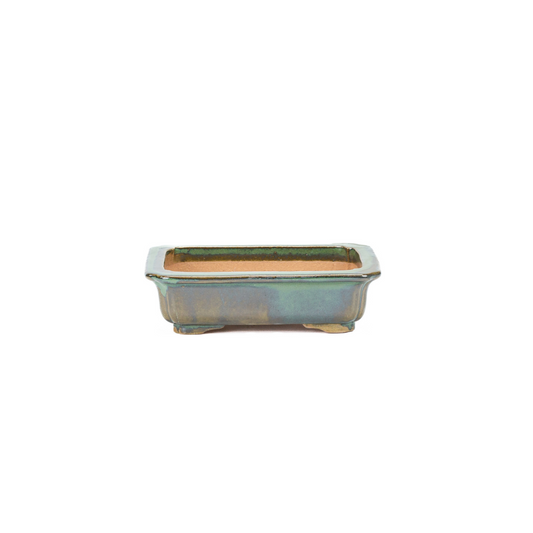 Bonsaischale grün Mokko 17cm