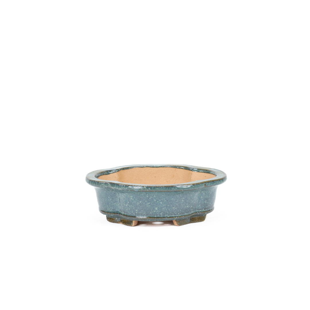 Bonsai pot chrysanthemums blue 20cm