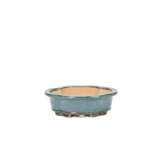 Bonsaitopf Chrysanthemen blau 20cm
