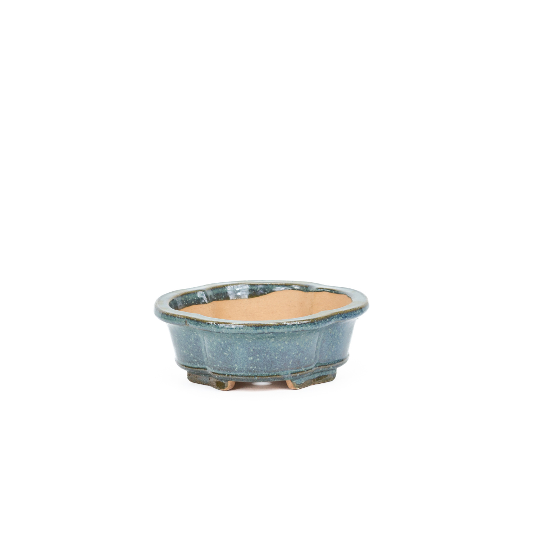 Bonsai pot chrysanthemums blue 20cm