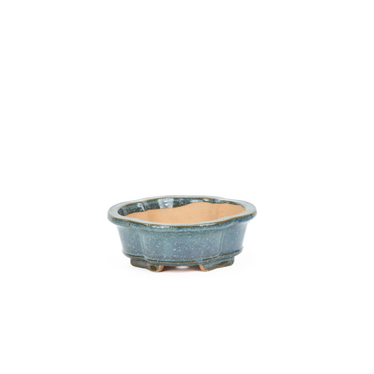 Bonsaitopf Chrysanthemen blau 20cm