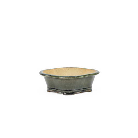 Bonsaischale Chrysanthemen grün schwarz 21cm