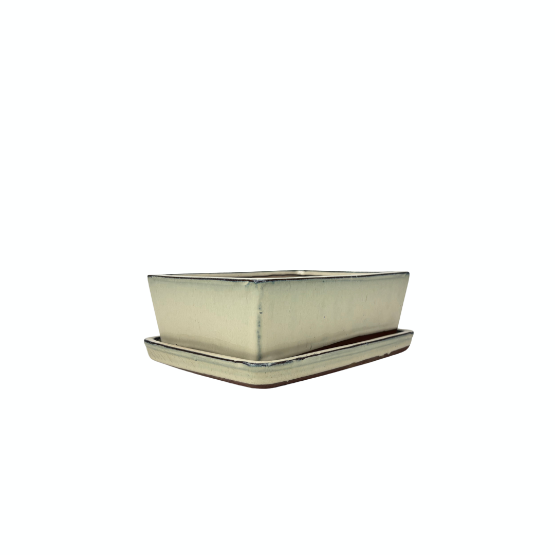 Bonsai pot creme rechthoek 15.5cm - set