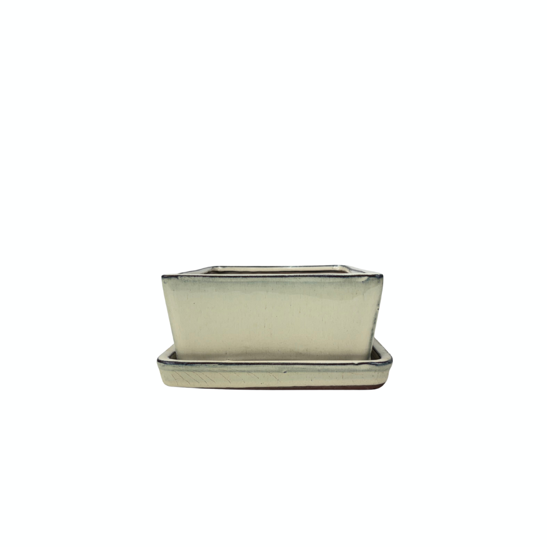 Bonsai pot creme rechthoek 15.5cm - set