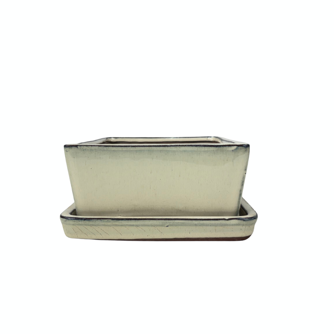 Bonsai pot creme rechthoek 25cm - set