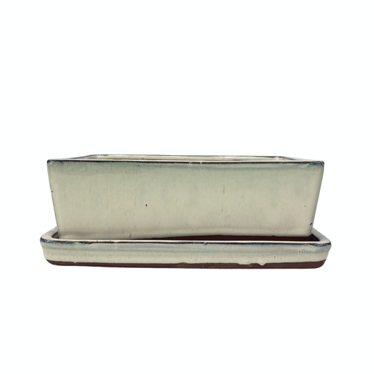 Bonsai pot creme rechthoek 30cm - set