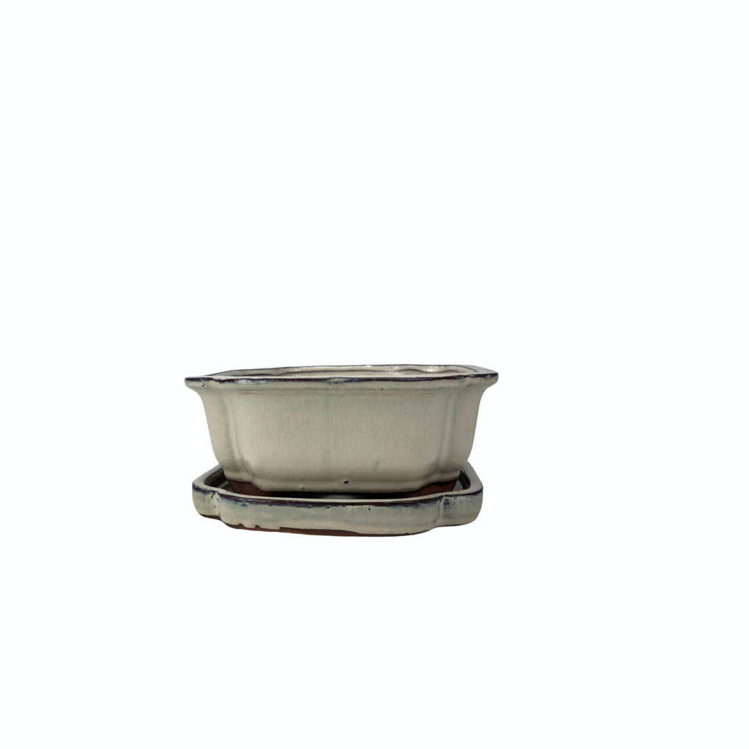 Bonsai pot creme mokko 16cm - set