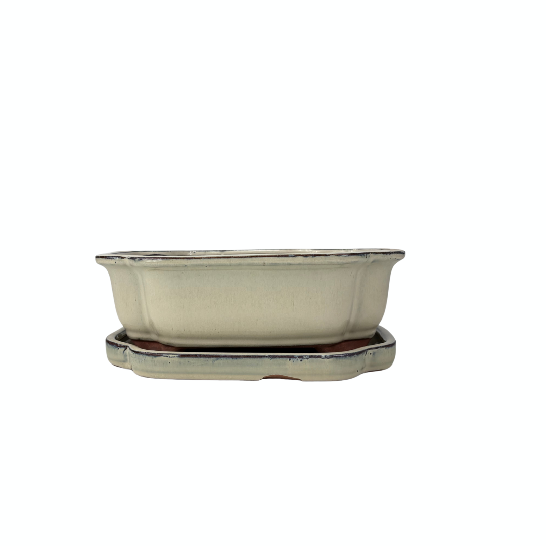 Bonsai pot creme mokko 21cm - set
