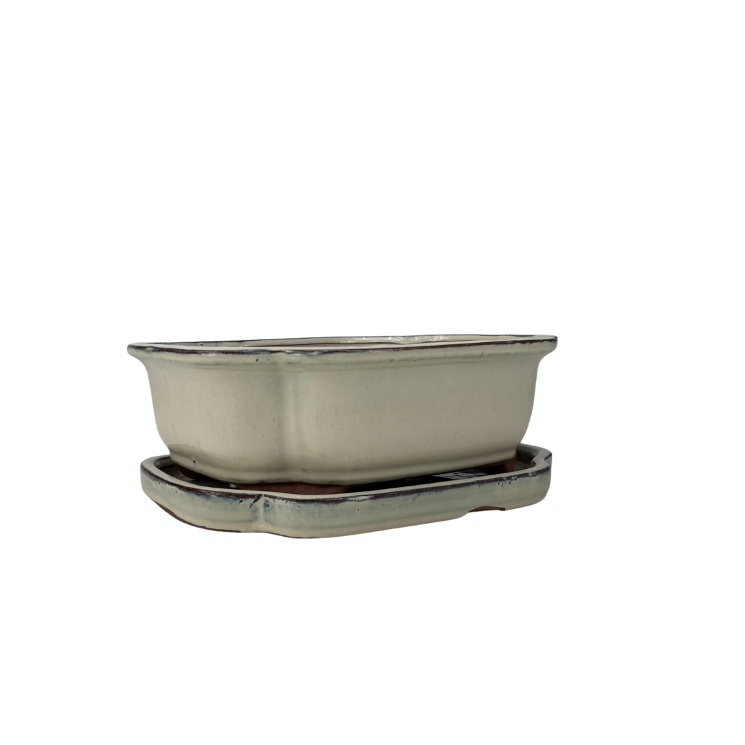 Bonsai pot creme mokko 21cm - set