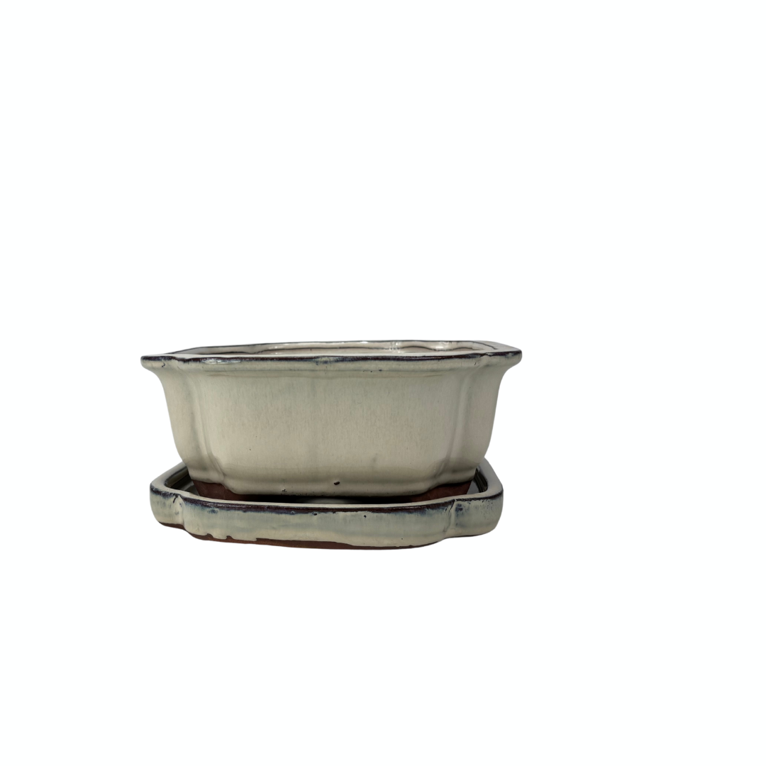 Bonsai pot creme mokko 21cm - set