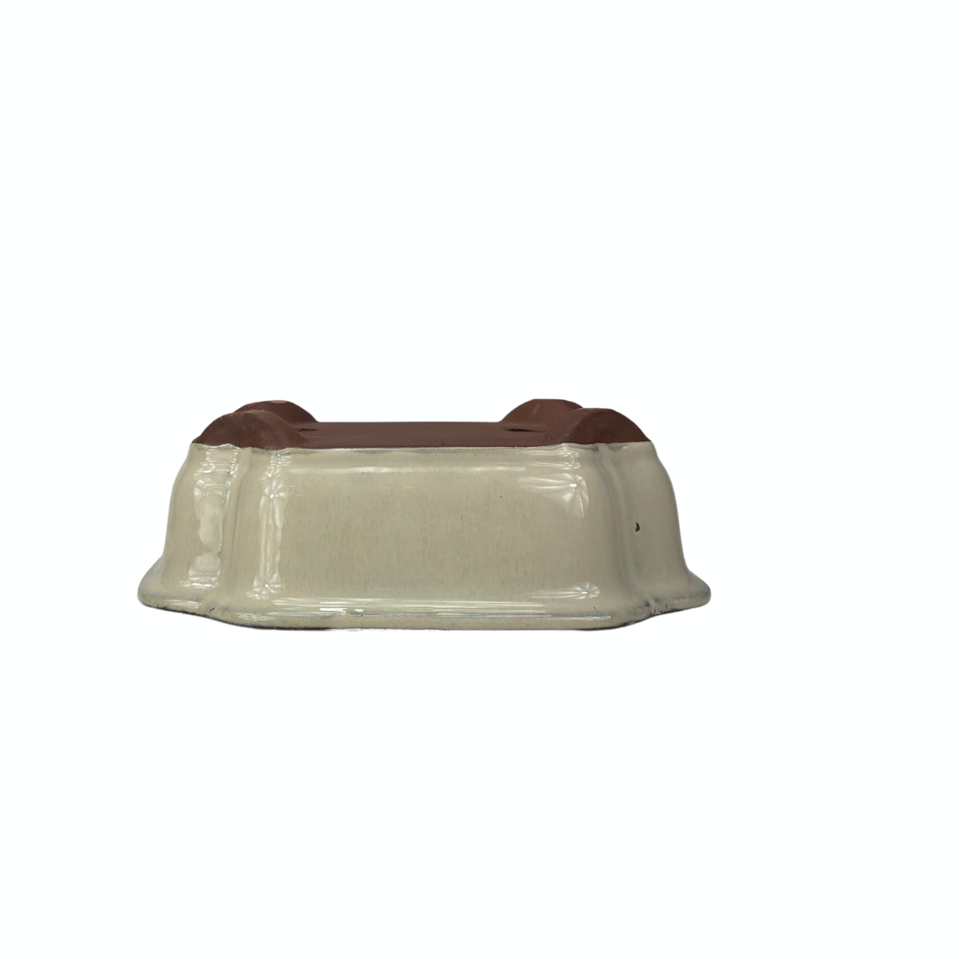 Bonsai pot creme mokko 21cm - set