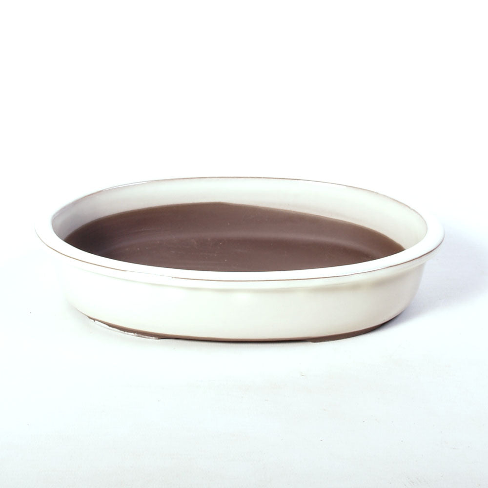 Bonsaischaal ovaal geglazuurd creme 31,5cm