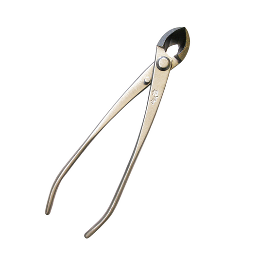 Pince concave Bonsai Ryuga en acier inoxydable 170 mm