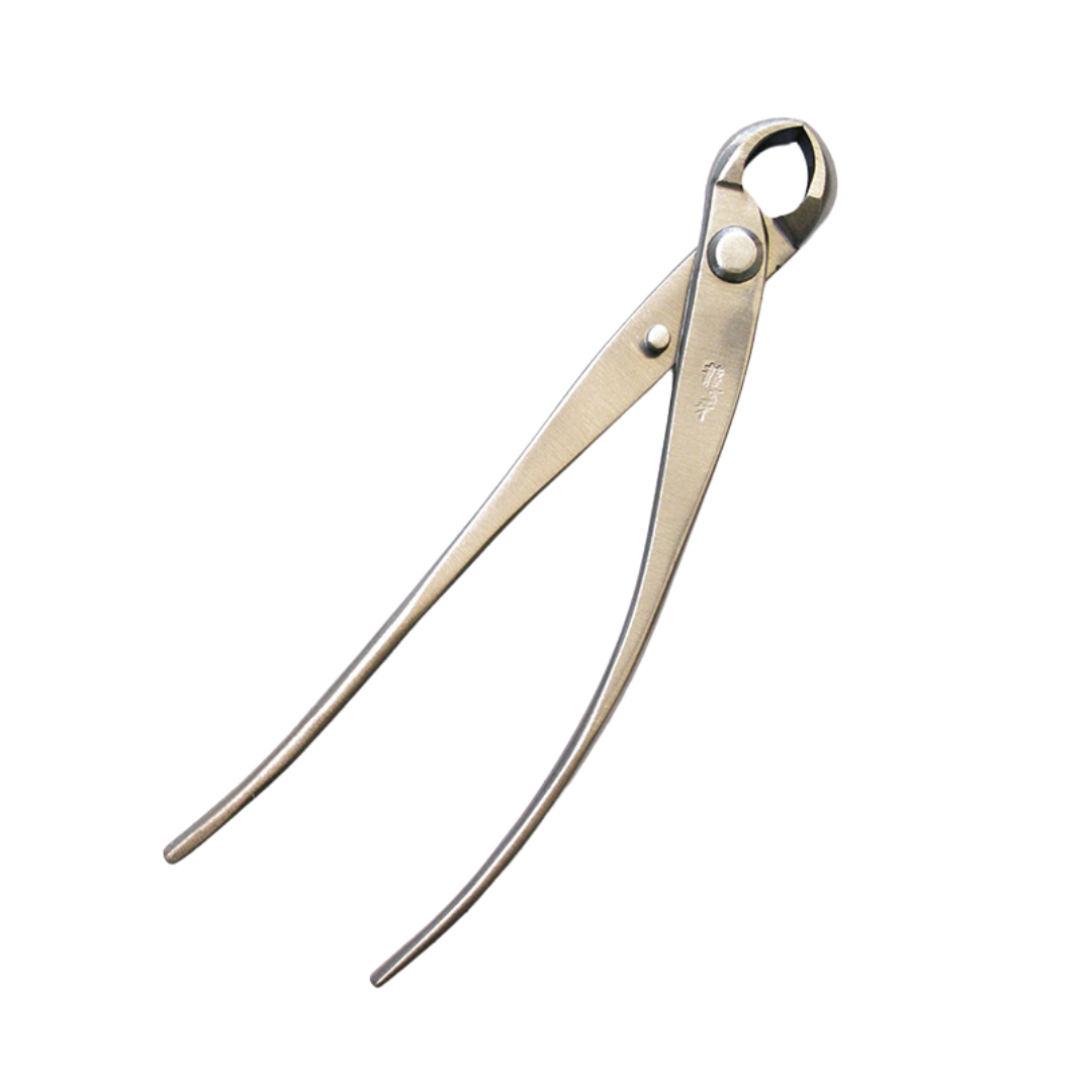 Pince à nœuds Ryuga pour bonsaï en acier inoxydable 179 mm