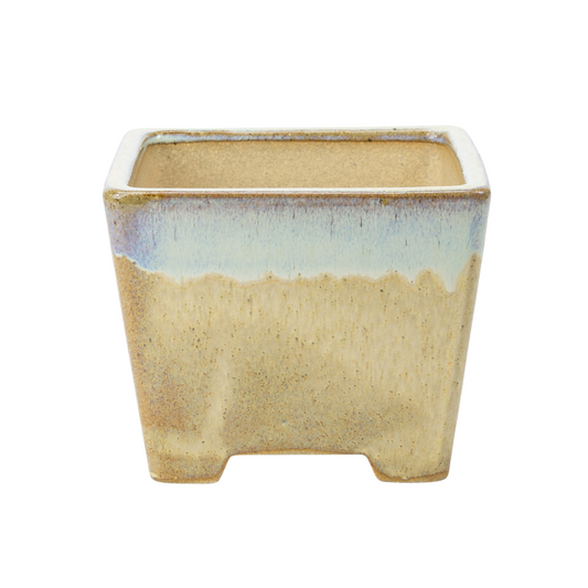 Bonsaischale beige quadratisch Halbkaskade 13,7cm