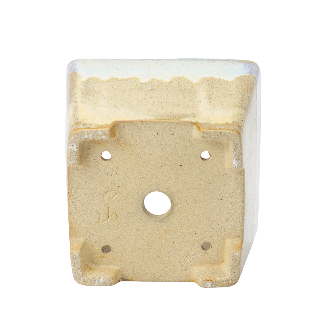Pot à bonsaï beige carré semi-cascade 13,7 cm