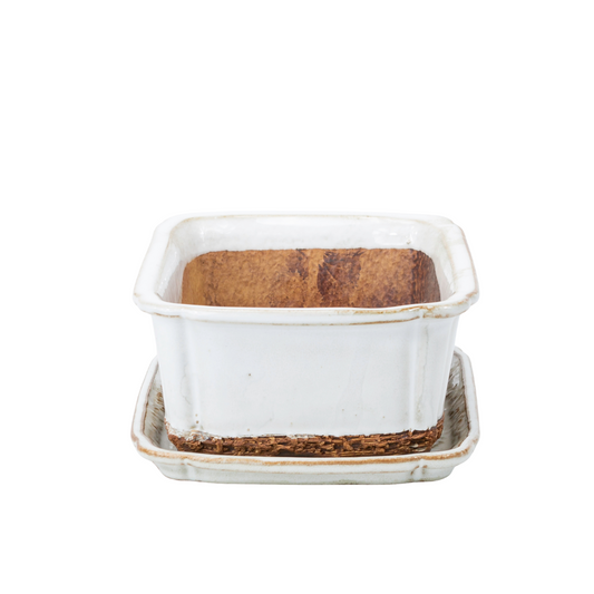 Pot à bonsaï blanc rectangulaire 17,5 cm - lot