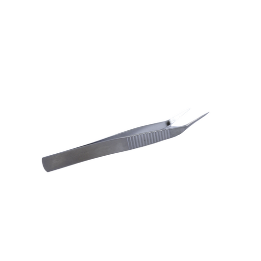 Pince à couper les bonsaïs en acier inoxydable 122 mm