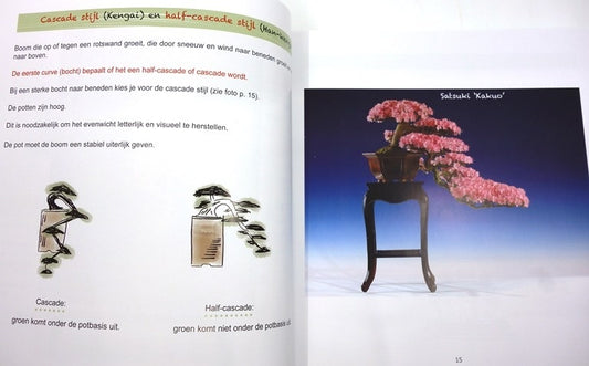 Bonsaï – Bien plus qu’un arbre en pot, Janine Droste