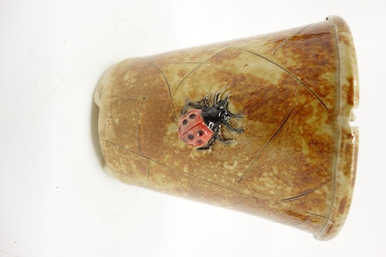 Pot à bonsaï Shohin cascade marron 5cm