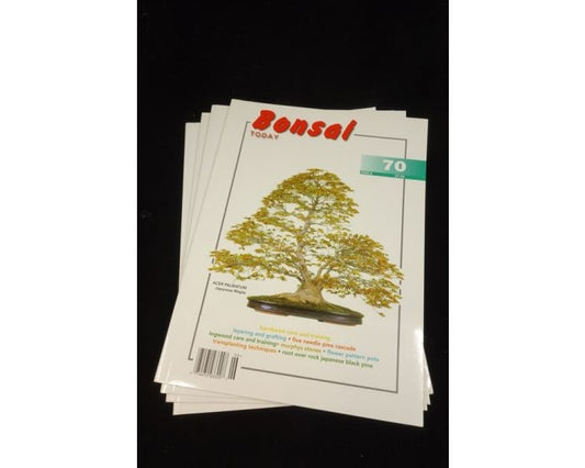 Bonsai Today Magazine - Engels (back issues) - Set #70, 72, 77