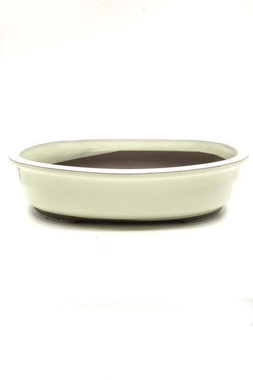 Pot à bonsaï ovale crème 38 cm