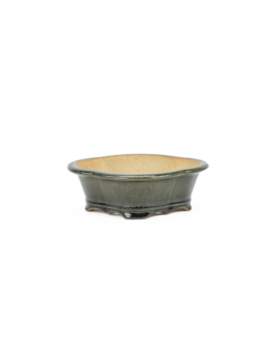 Bonsai pot chrysanten groen zwart 21cm