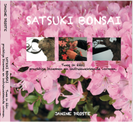 Bonsaï Satsuki - Deux en un : de magnifiques fleurs et des formes impressionnantes (Ned) Janine Droste